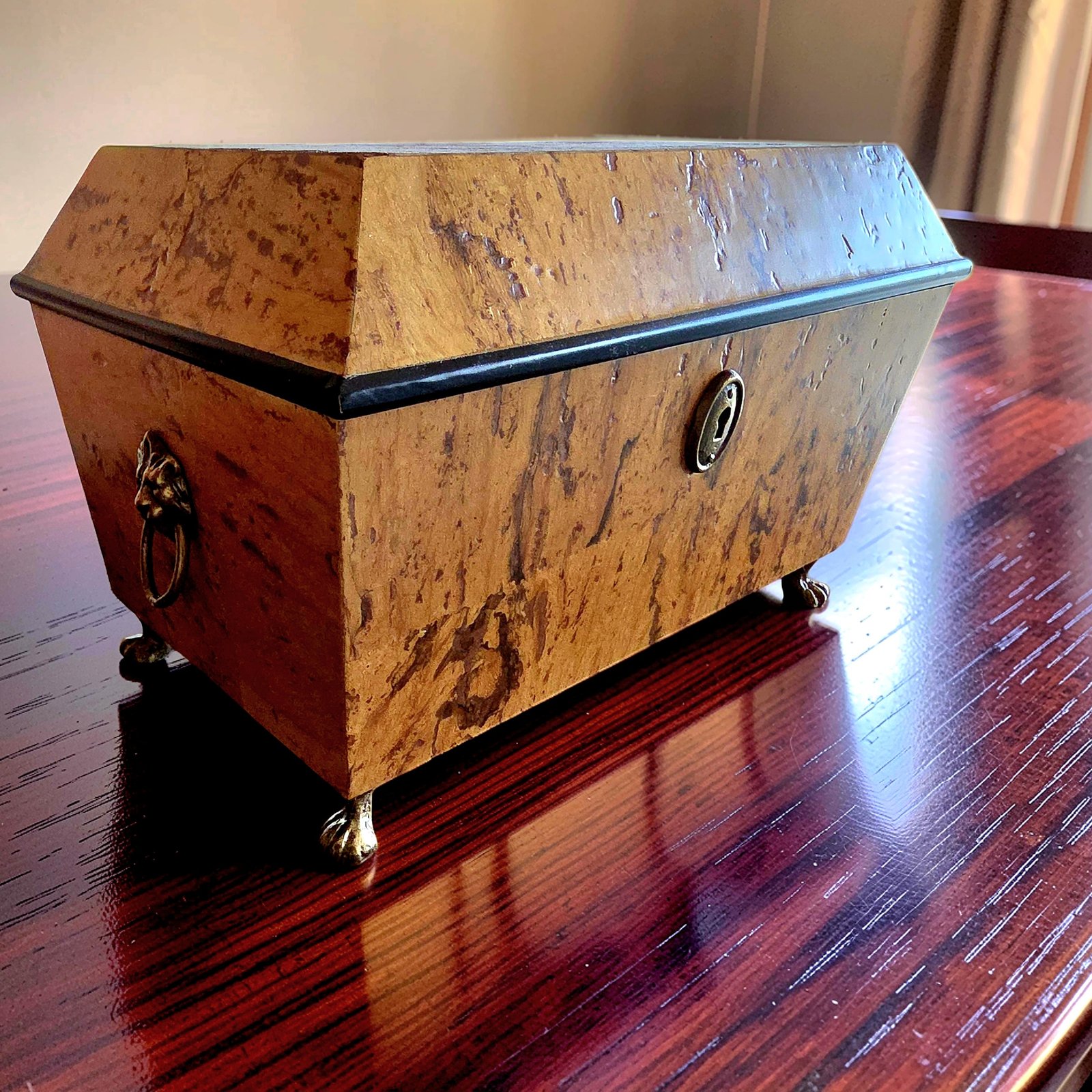 Olive Ash Burl Tea Caddy