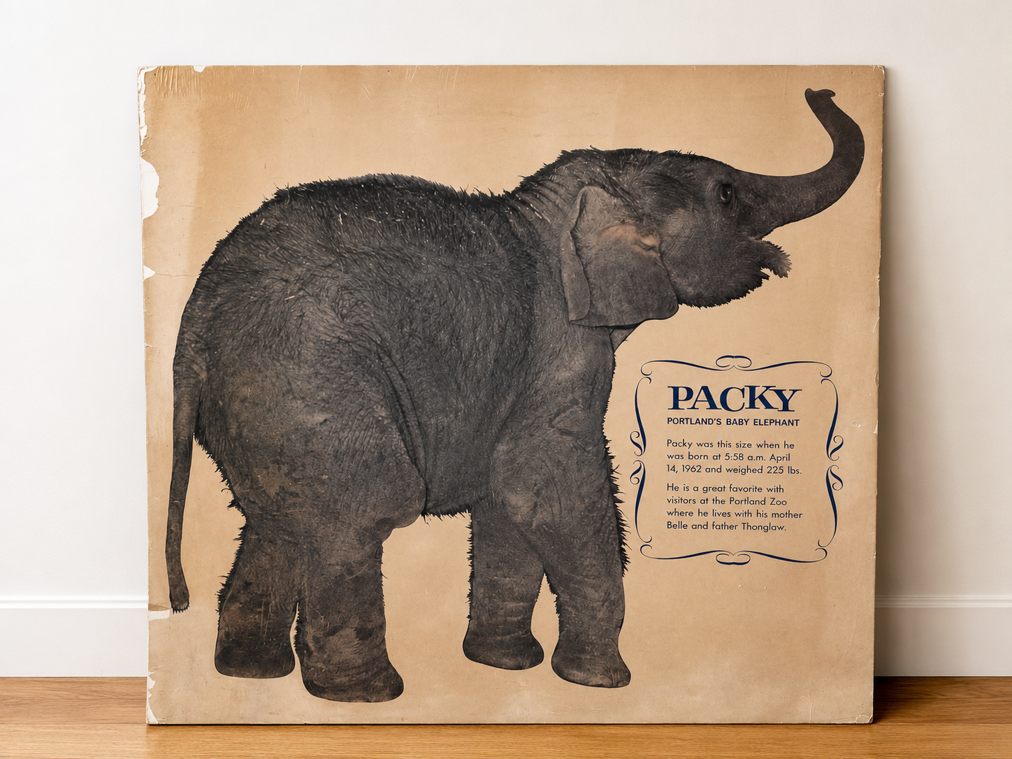 Vintage PACKY Poster - NE Portland Estate Sale
