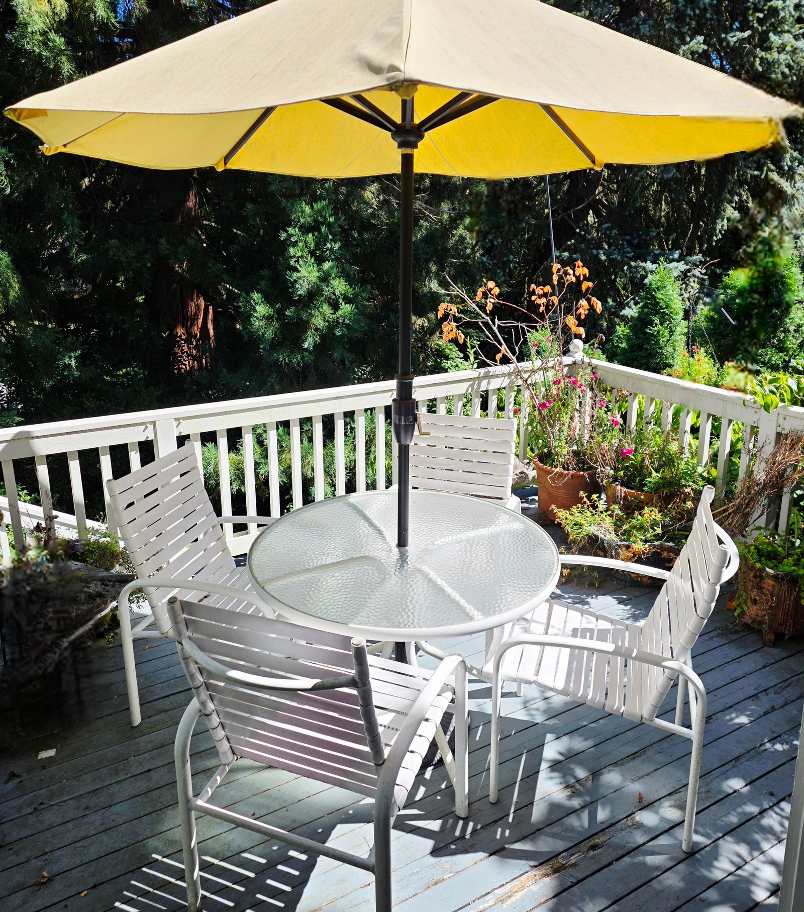 6-pcPatio Set - South Burlingame Estate Sale