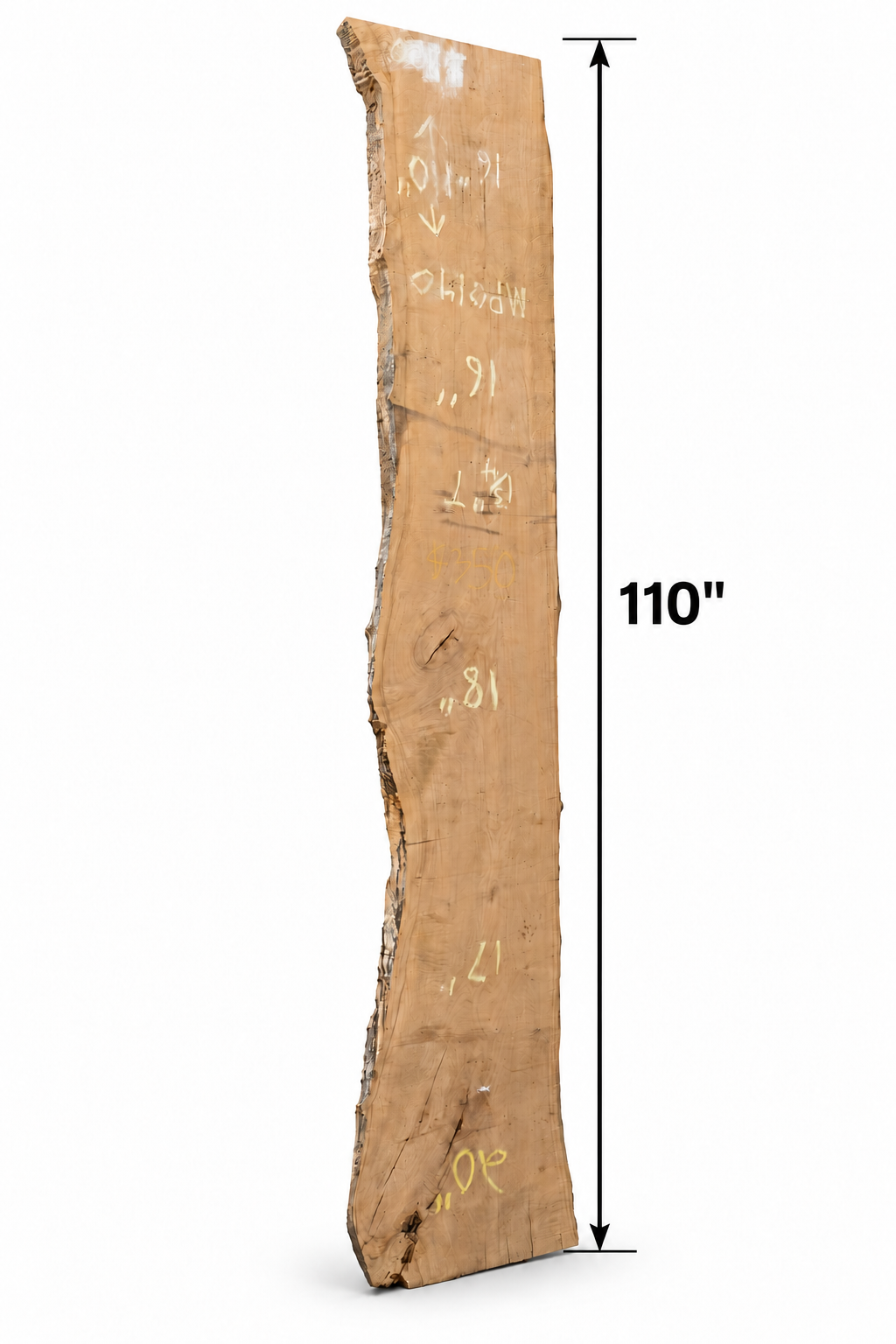 Elijah Wood, LIVE EDGE PLANK - The Good Mod Liquidation Estate Sale