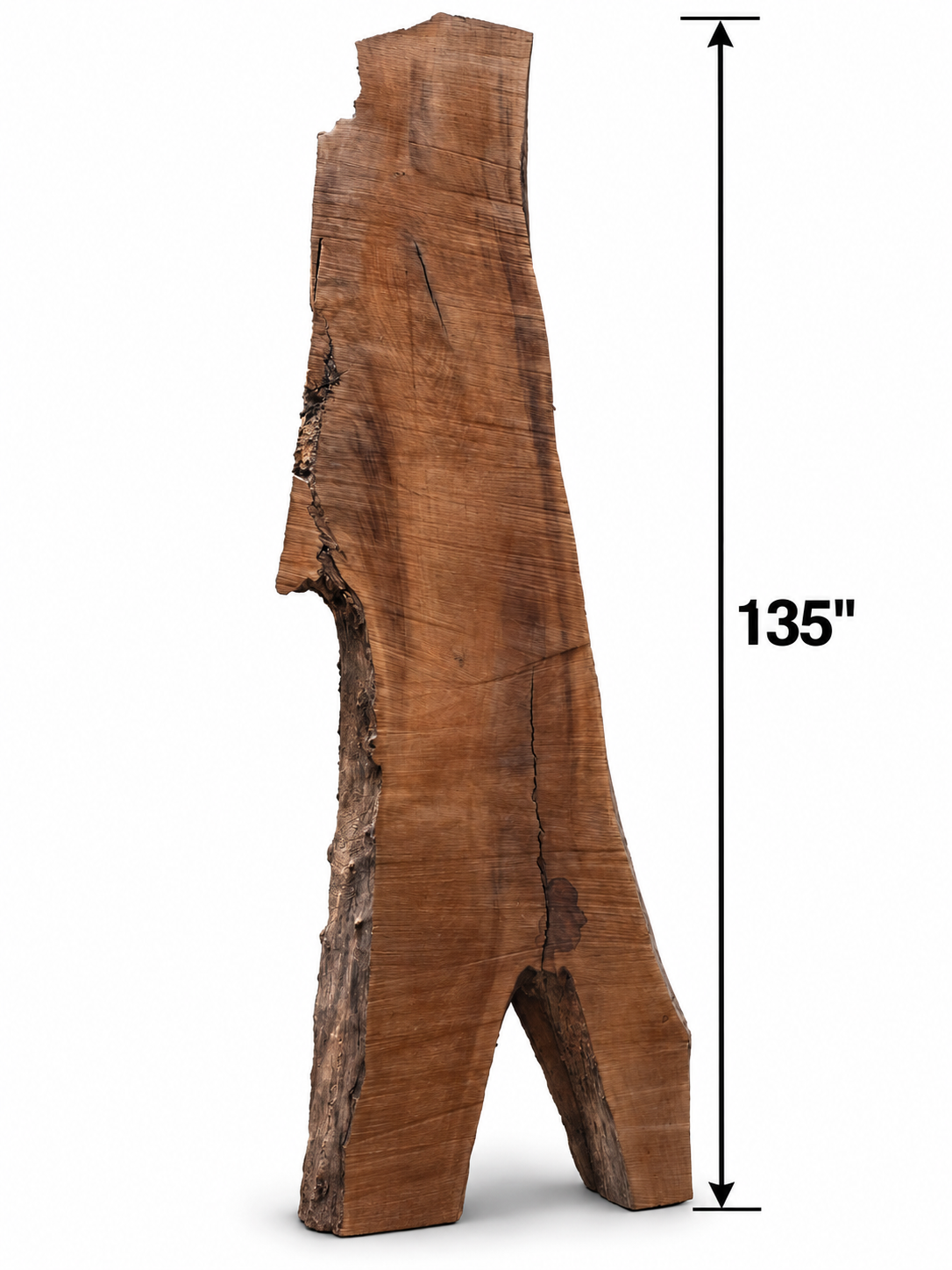 Bruce Willow LIVE EDGE - The Good Mod Liquidation Estate Sale